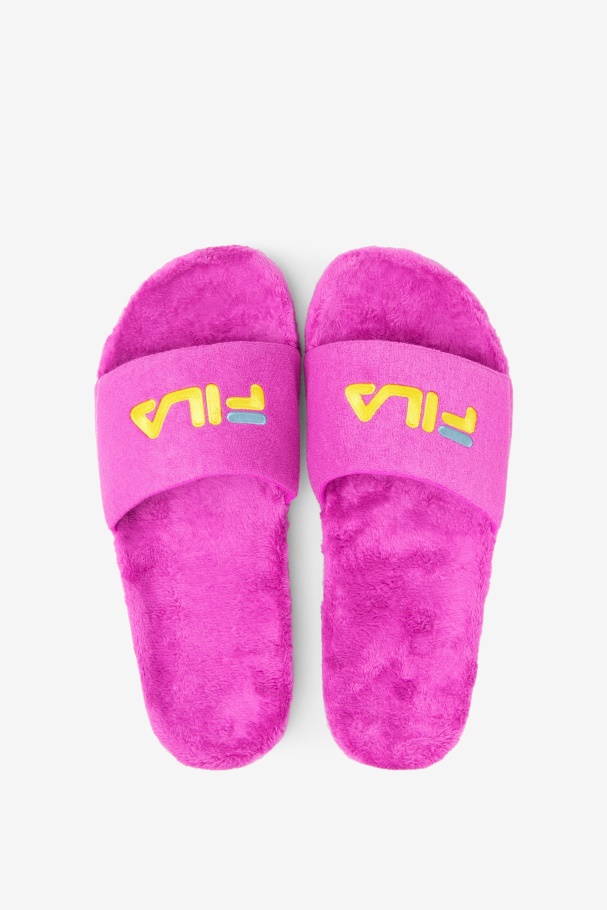 Terry Drifter Slide Fila UK Purple/Yellow/Petit Four